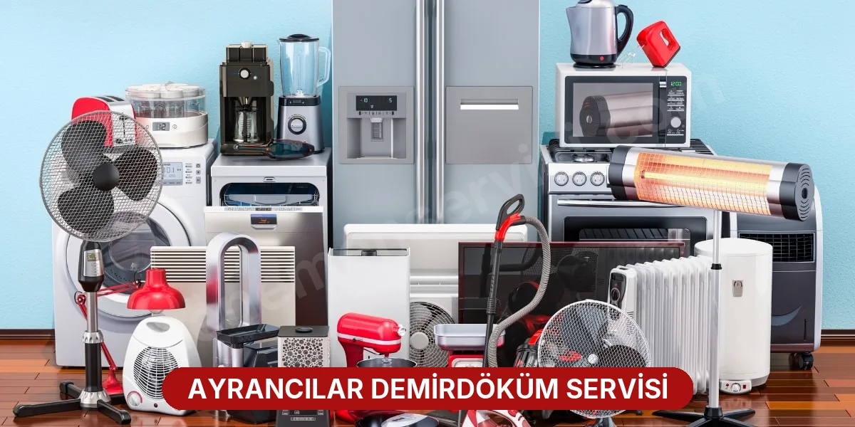 Ayrancılar Demirdöküm Servisi