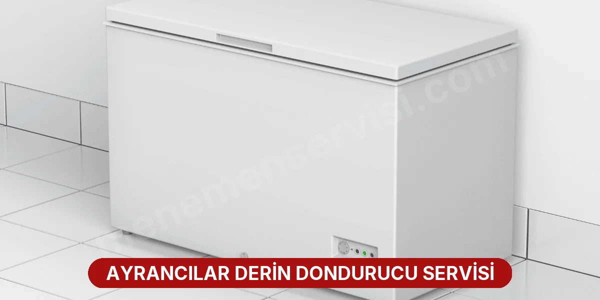 Ayrancılar Derin Dondurucu Servisi