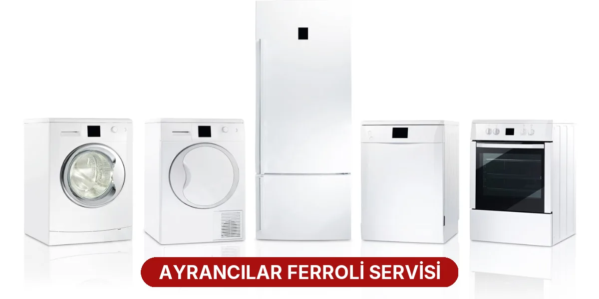 Ayrancılar Ferroli Servisi