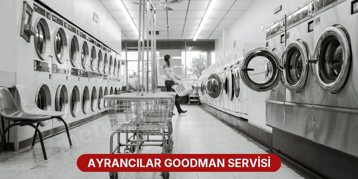 Ayrancılar Goodman Servisi