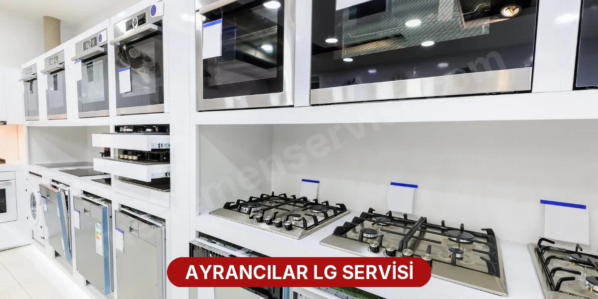 Ayrancılar LG Servisi
