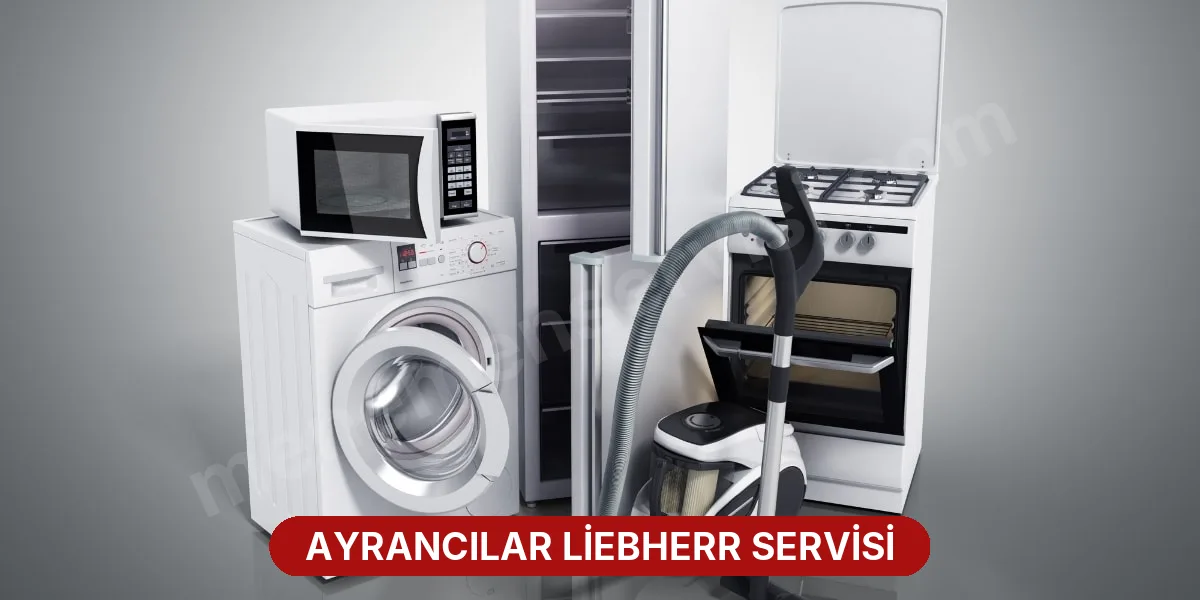 Ayrancılar Liebherr Servisi