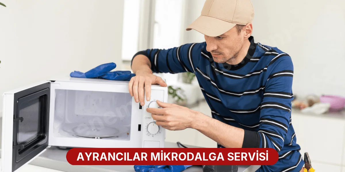 Ayrancılar Mikrodalga Servisi
