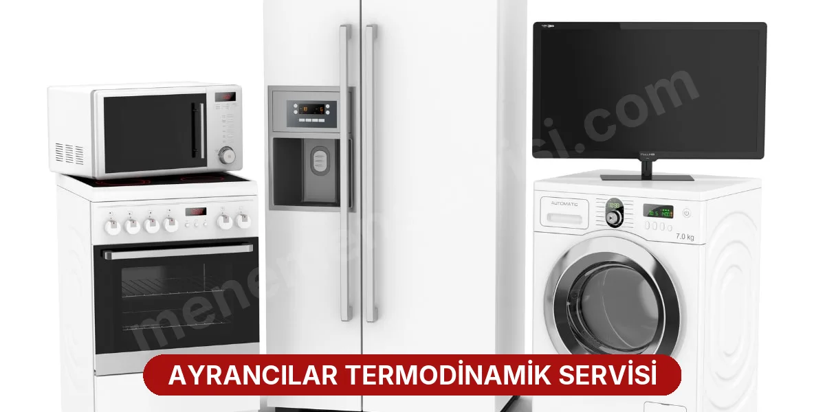 Ayrancılar Termodinamik Servisi