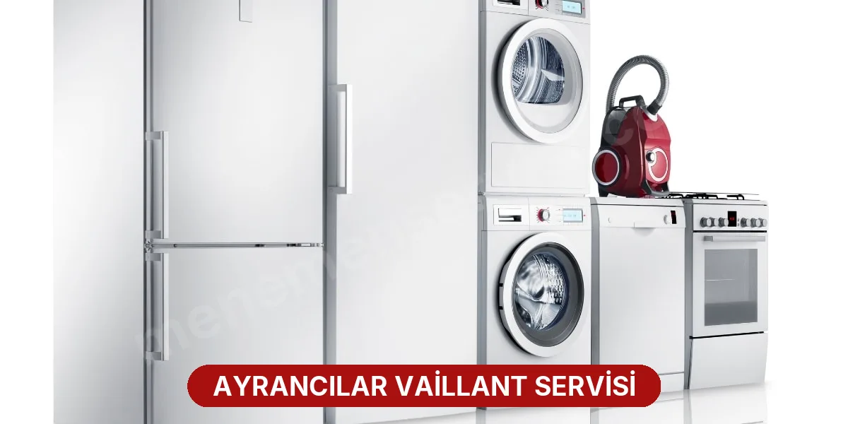 Ayrancılar Vaillant Servisi